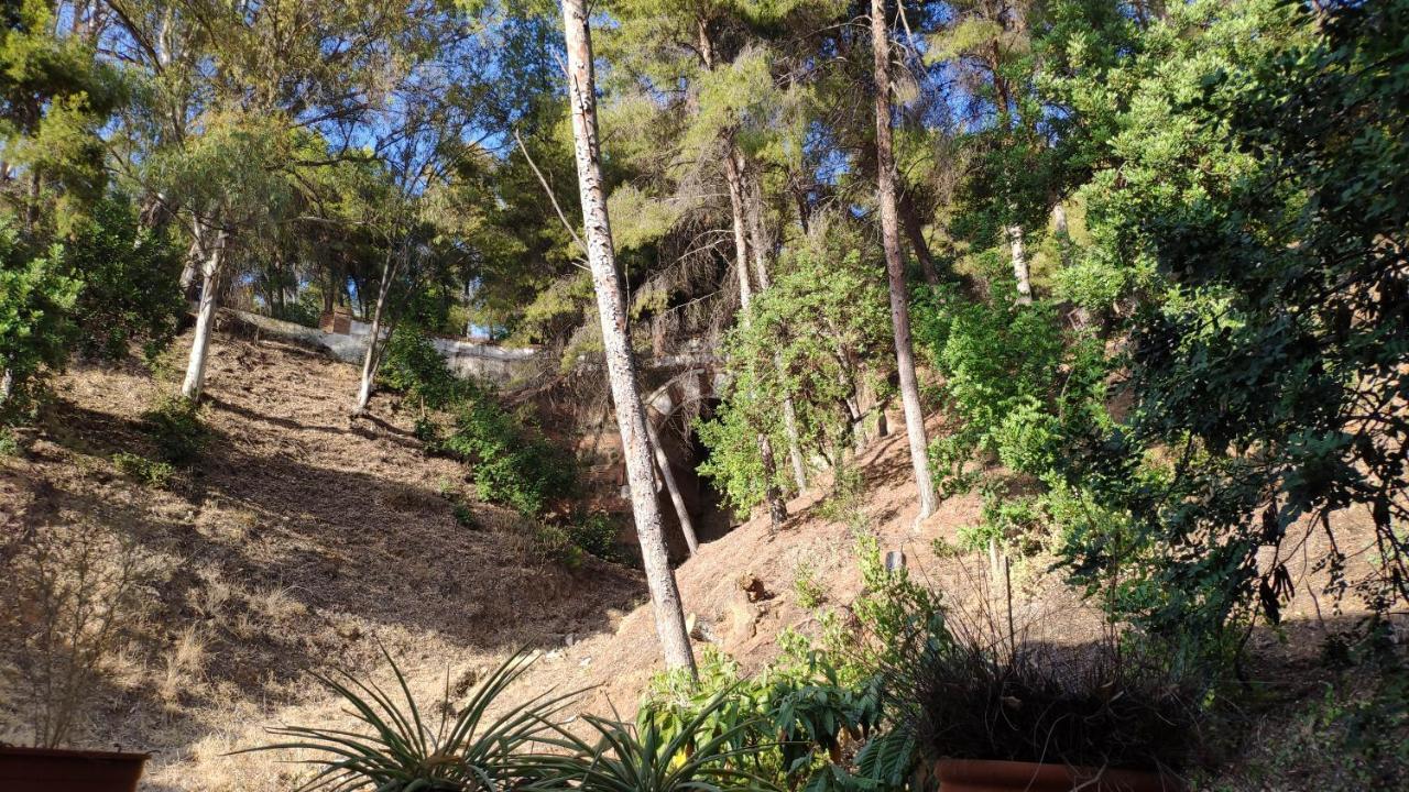 Fabulosa Casa Del Arbol Málaga Exterior foto